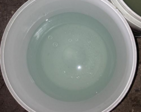 黄瓜官网入口